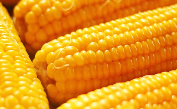 Corn on the Cob